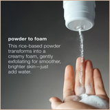 Daily Microfoliant Exfoliator – Brightening Enzyme Powder Scrub