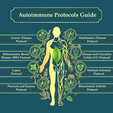 The Holistic Guide to Wellness – 316-Page Print Book