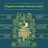 The Holistic Guide to Wellness – 316-Page Print Book